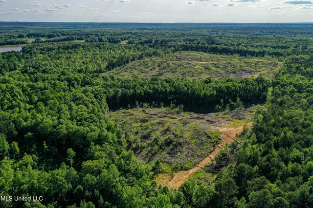 $250,429 | 1 County Road 433, Oxford, MS 38655