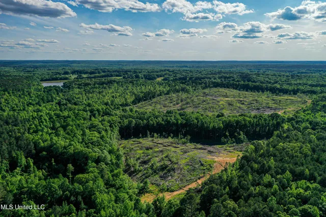 $250,429 | 1 County Road 433, Oxford, MS 38655