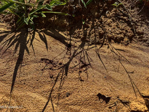 $246,453 | 1 County Road 433, Oxford, MS 38655