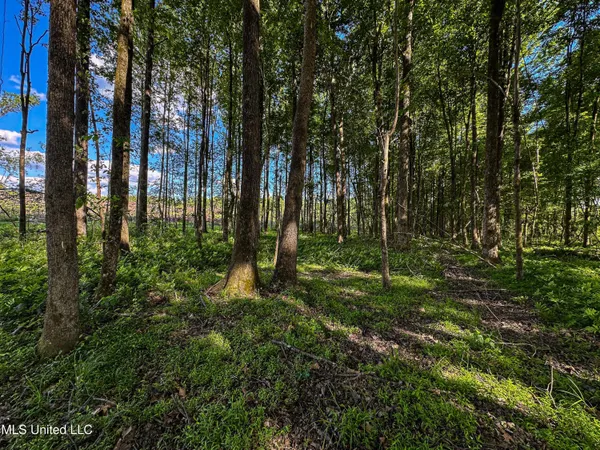 $246,453 | 1 County Road 433, Oxford, MS 38655