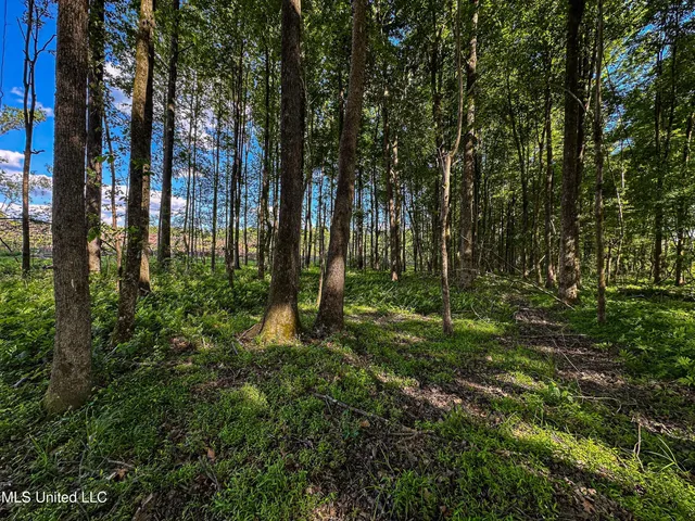 $250,429 | 1 County Road 433, Oxford, MS 38655