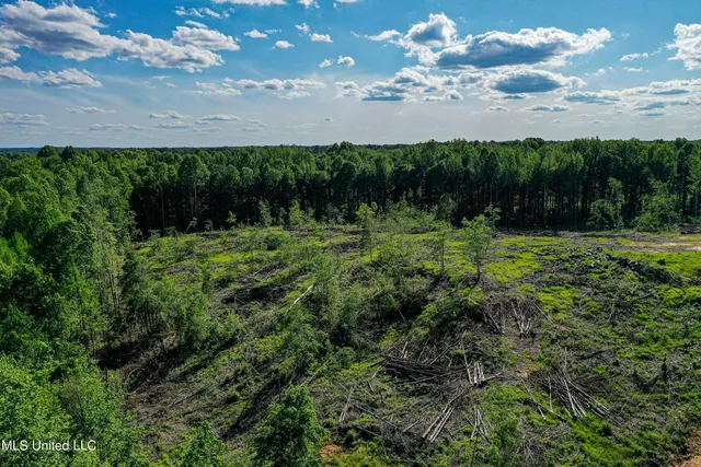 $250,429 | 1 County Road 433, Oxford, MS 38655