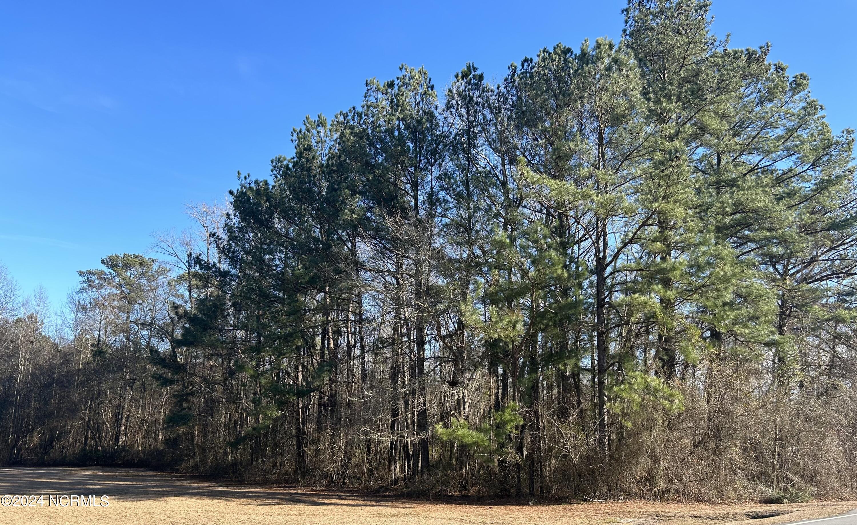 4550 Faith Baptist Church Road Pinetops, NC 27864 - Photo 1 of 7 Left side of property; View from road