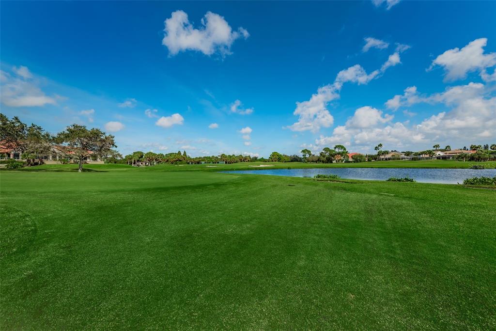 9952 Sago Point Drive Largo, FL 33777 - Photo 41 of 44 a view of a golf course with a big yard