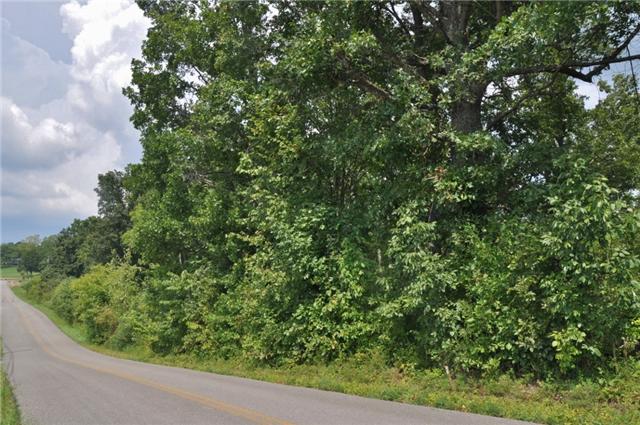 111 Linwood Road Watertown, TN 37184 - Photo 2 of 5