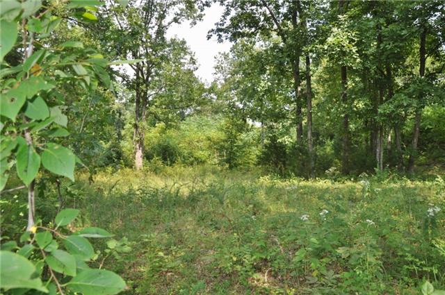 111 Linwood Road Watertown, TN 37184 - Photo 4 of 5
