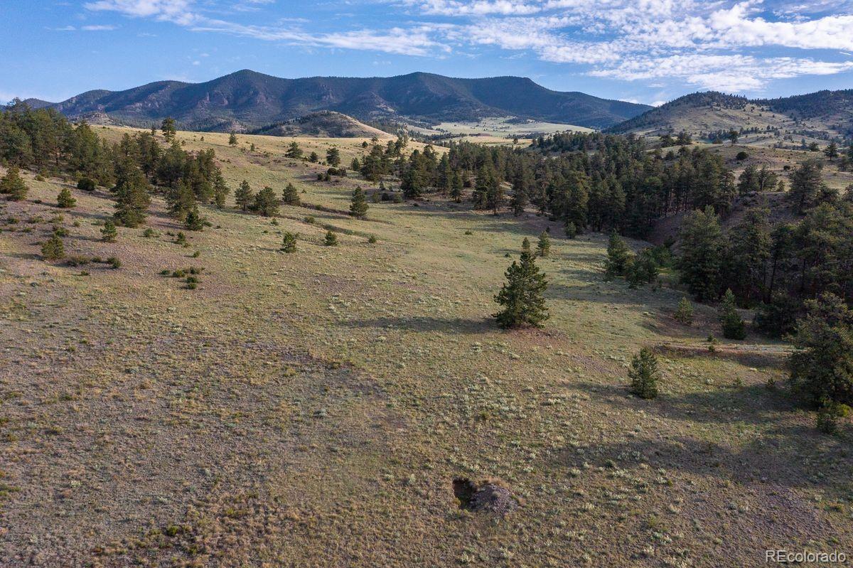 0 Big Buck Road Guffey, CO 80820 - Photo 1 of 14