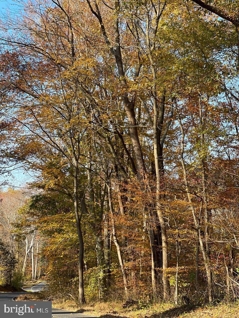 4755 South Polling House Road Harwood, MD 20776 - Photo 3 of 4