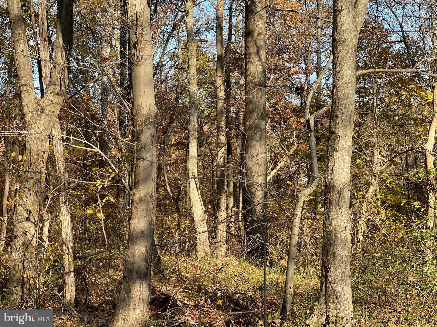 4755 South Polling House Road Harwood, MD 20776 - Photo 4 of 4