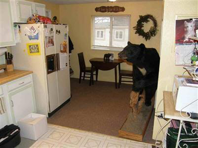 9684 Boucher Road Otter Lake, MI 48464 - Photo 4 of 9 20134538-3.JPG