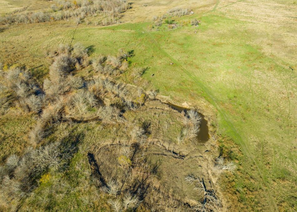 5 County Road 419 Taylor, TX 76574 - Photo 7 of 10