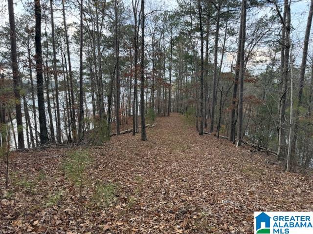 1 County Road 804, Unit 1 Heflin, AL 36264 - Photo 5 of 7