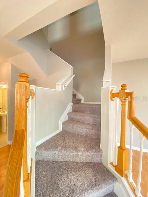 5212 Blue Roan Way Wesley Chapel, FL 33544 - Photo 10 of 23