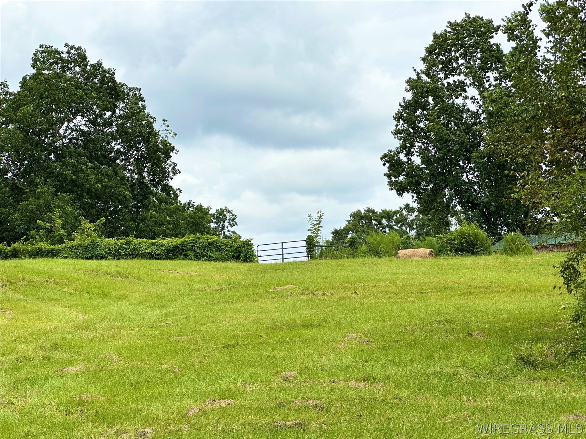 97 Rodeo Road Ariton, AL 36311 - Photo 44 of 60 Gallery Image 44
