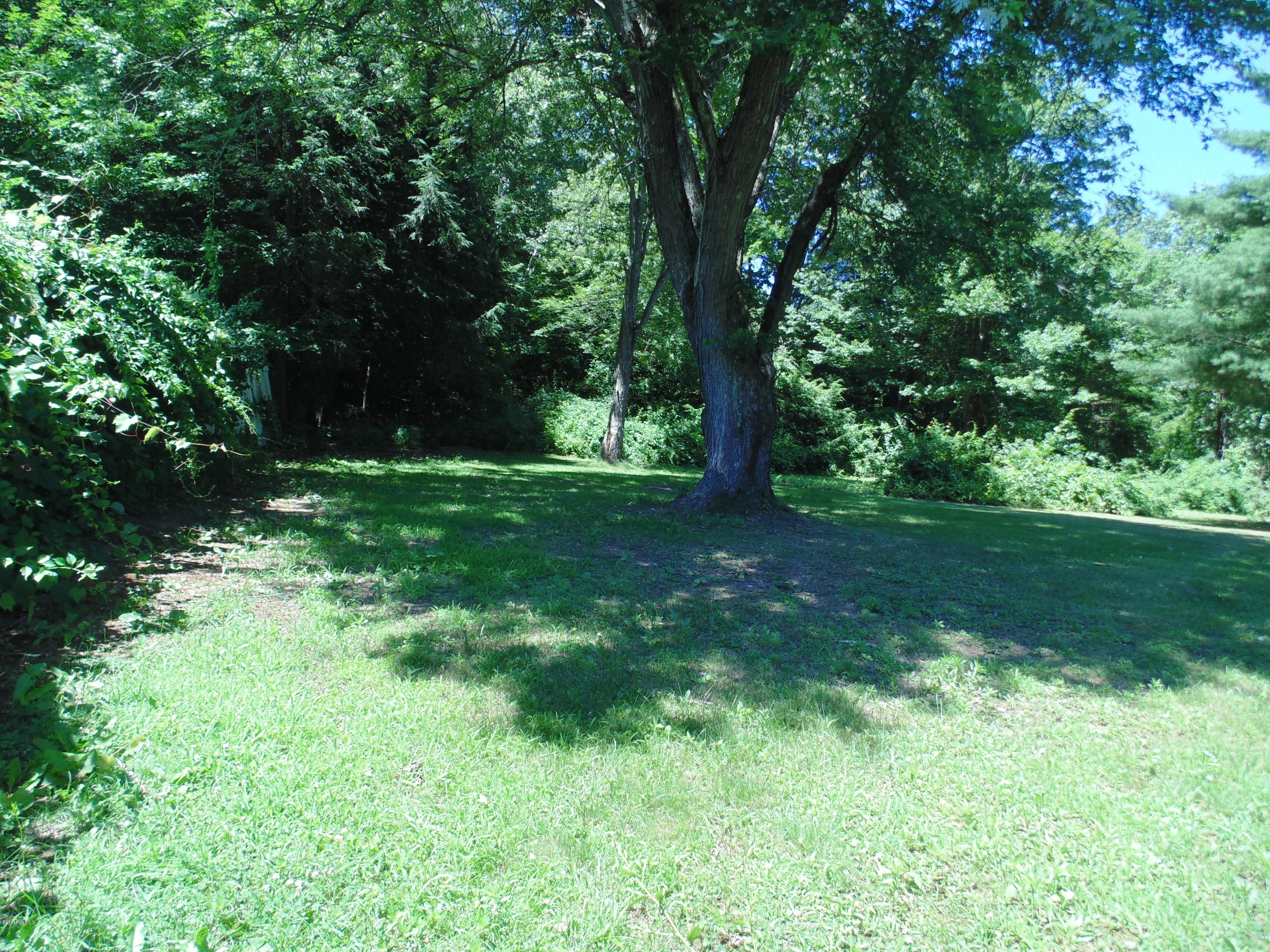 390 Montgomery Road Westfield, MA 01085 - Photo 24 of 29 a view of a lush green space