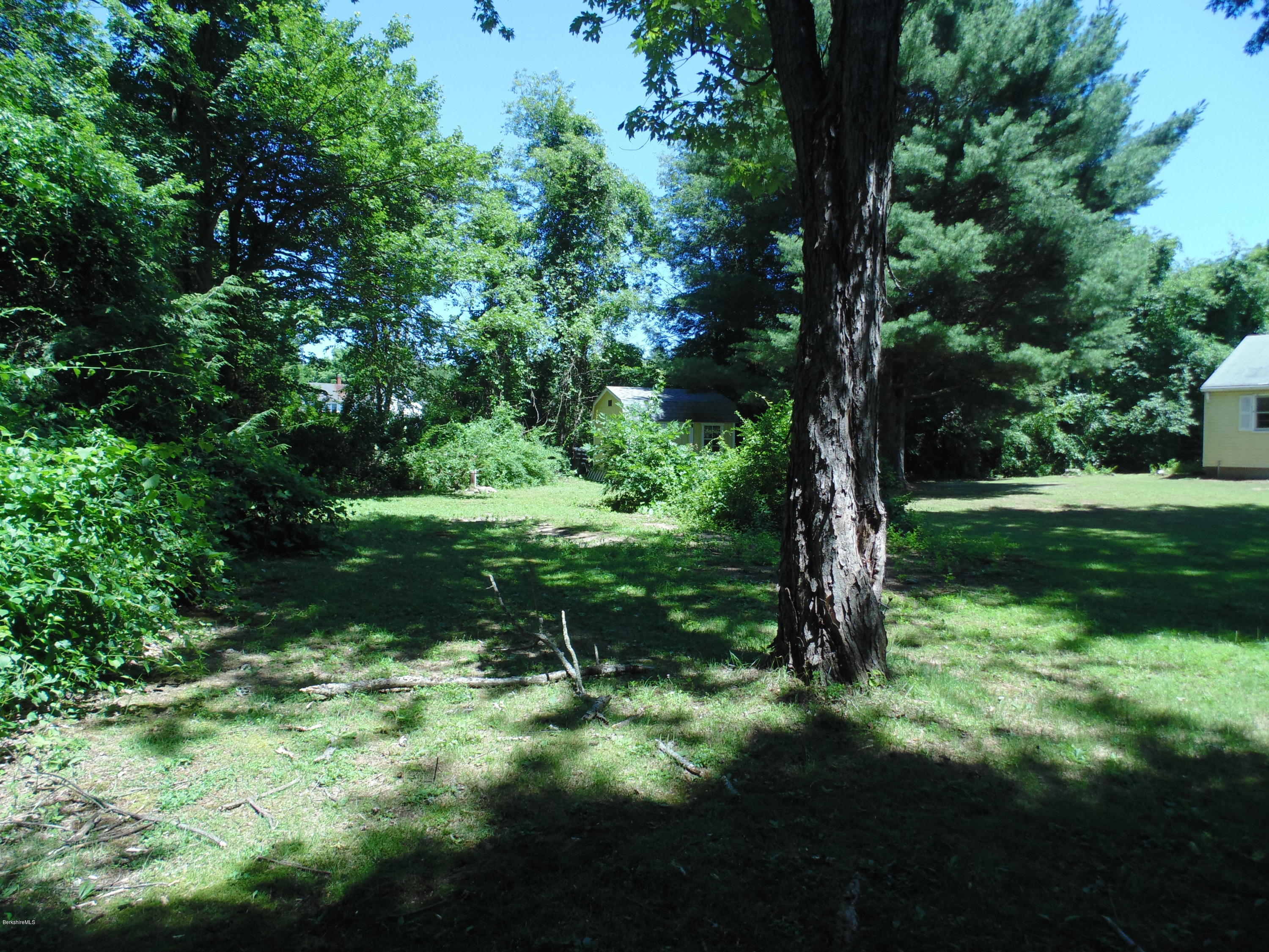 390 Montgomery Road Westfield, MA 01085 - Photo 27 of 29 a view of a green field with a tree