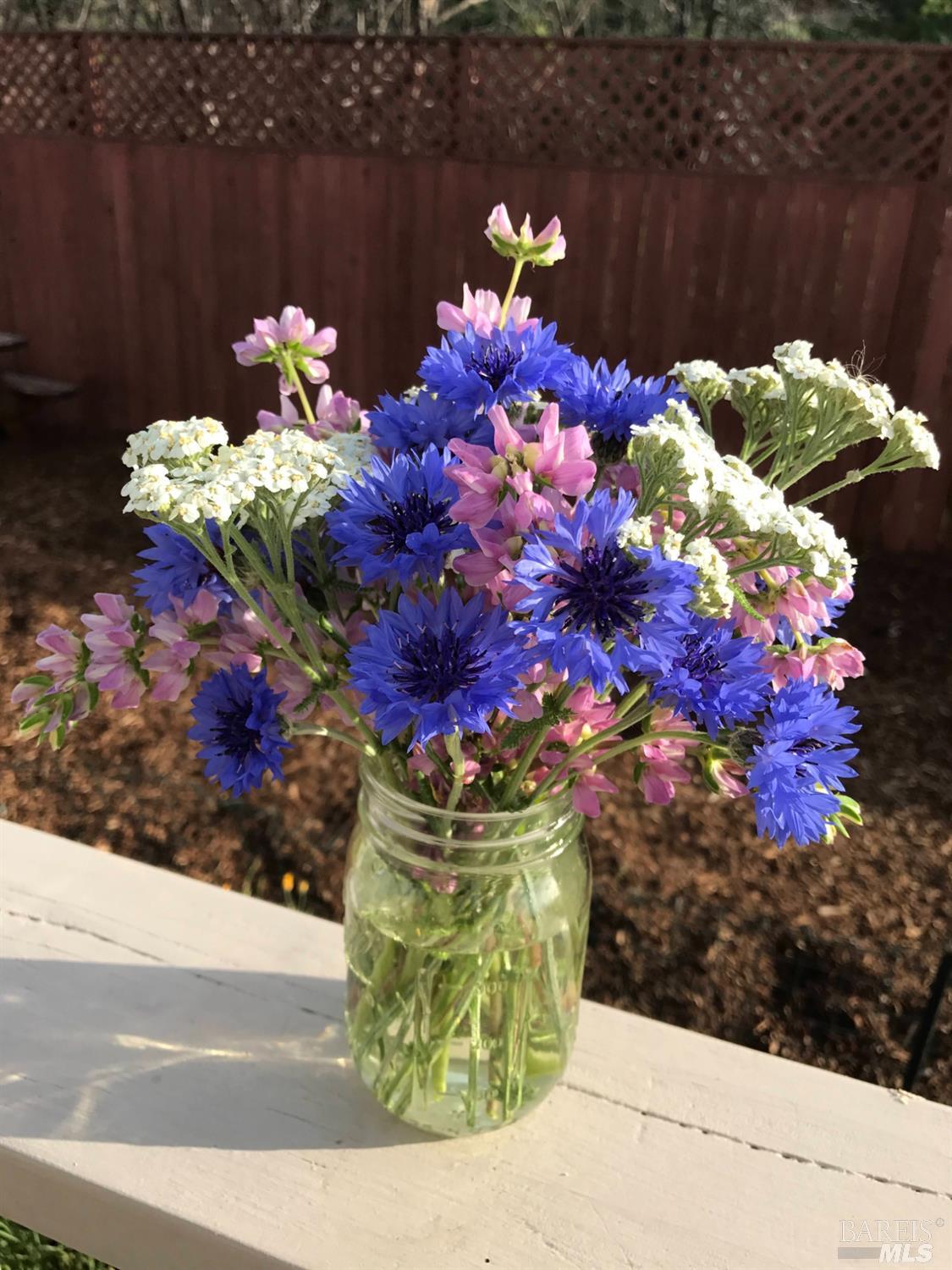 8700 Butts Canyon Road Pope Valley, CA 94567 - Photo 13 of 43