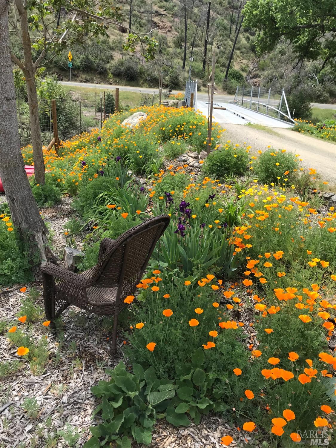 8700 Butts Canyon Road Pope Valley, CA 94567 - Photo 21 of 43