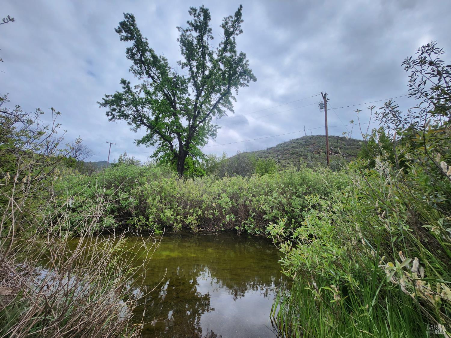 8700 Butts Canyon Road Pope Valley, CA 94567 - Photo 24 of 43