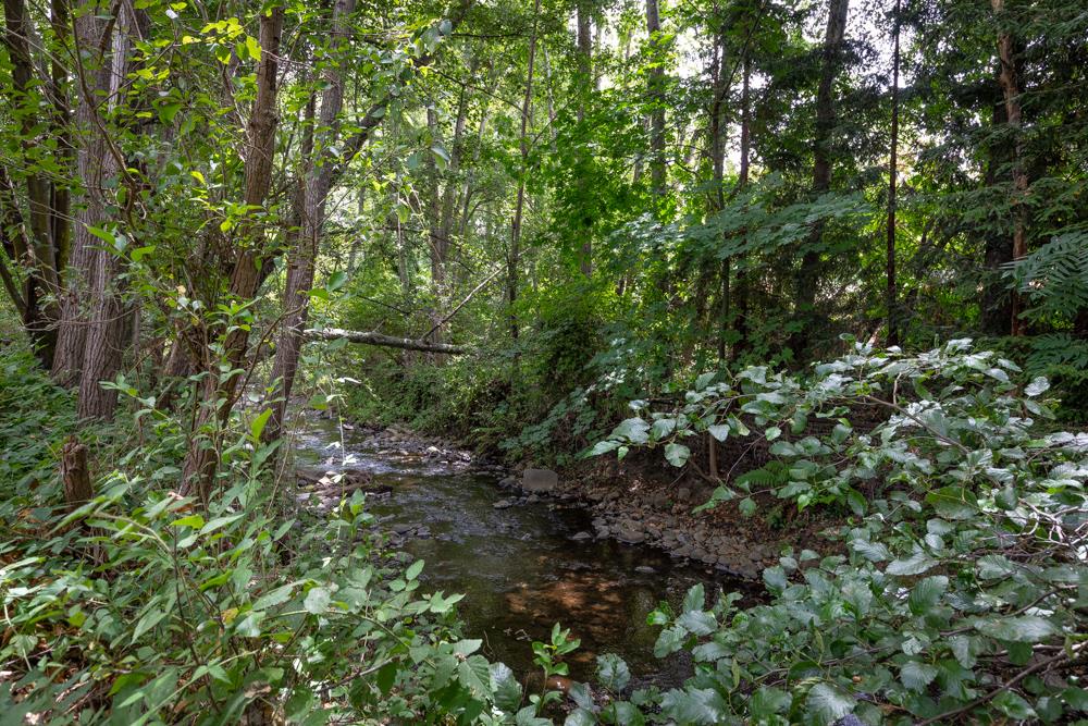 70 Via Arroyo Corralitos, CA 95076 - Photo 18 of 25