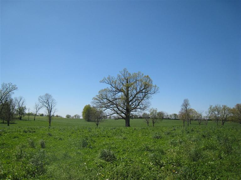 4750 Lexington Road Paris, KY 40361 - Photo 1 of 41 Photo 1