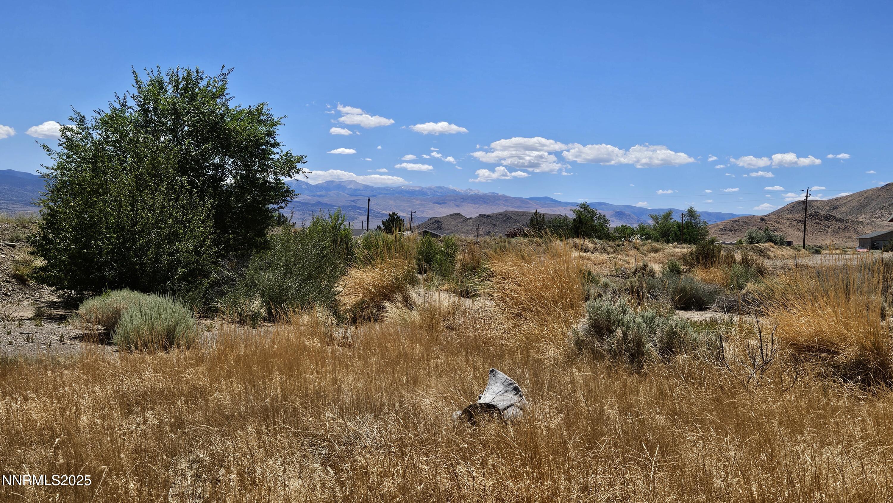 3791 Granite Way Topaz Ranch Estates, NV 89444 - Photo 28 of 39 20250723_115341