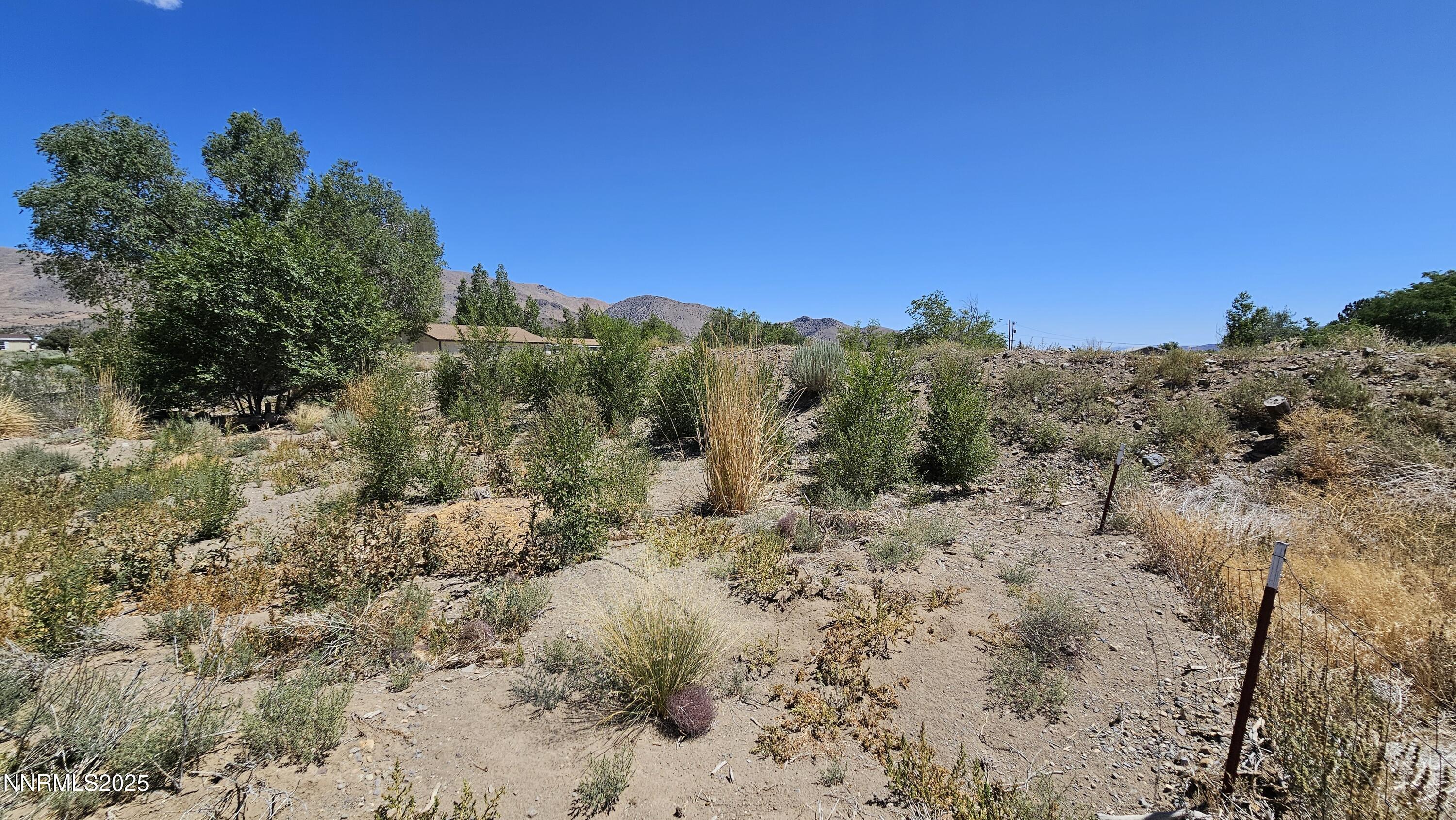 3791 Granite Way Topaz Ranch Estates, NV 89444 - Photo 29 of 39 a view of a dry yard with trees in the background