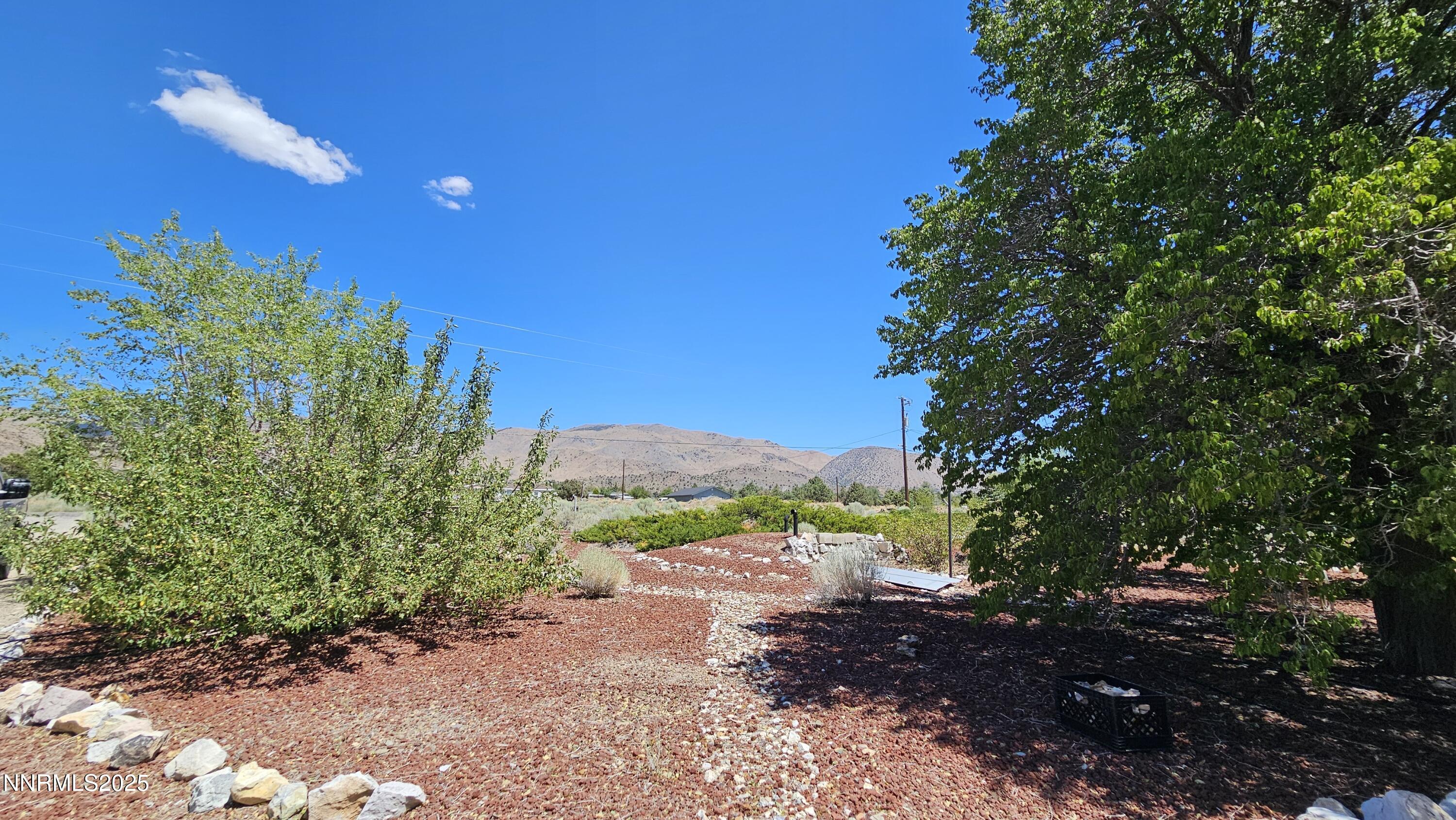 3791 Granite Way Topaz Ranch Estates, NV 89444 - Photo 38 of 39 a view of a yard with plants and a large tree