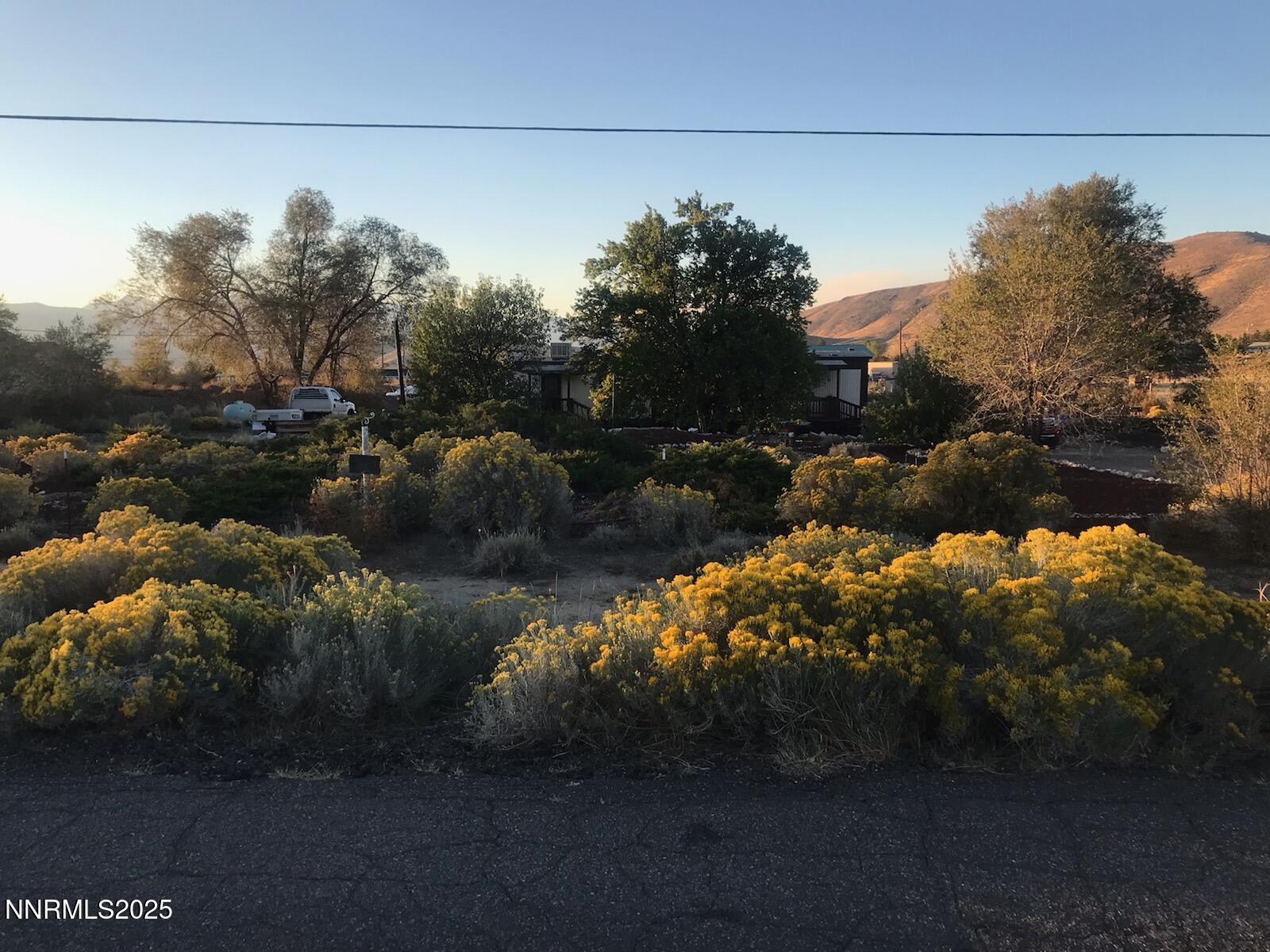 3791 Granite Way Topaz Ranch Estates, NV 89444 - Photo 7 of 39 Front yard