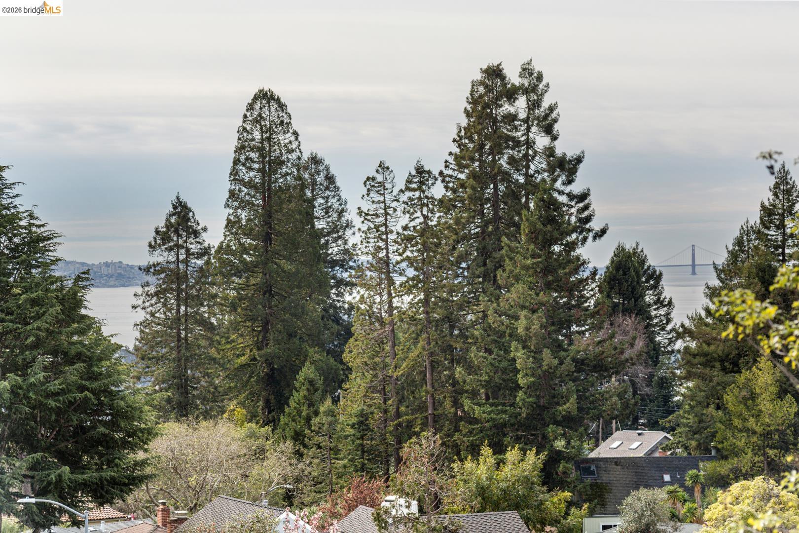 22 Windsor Avenue Kensington, CA 94708 - Photo 13 of 30