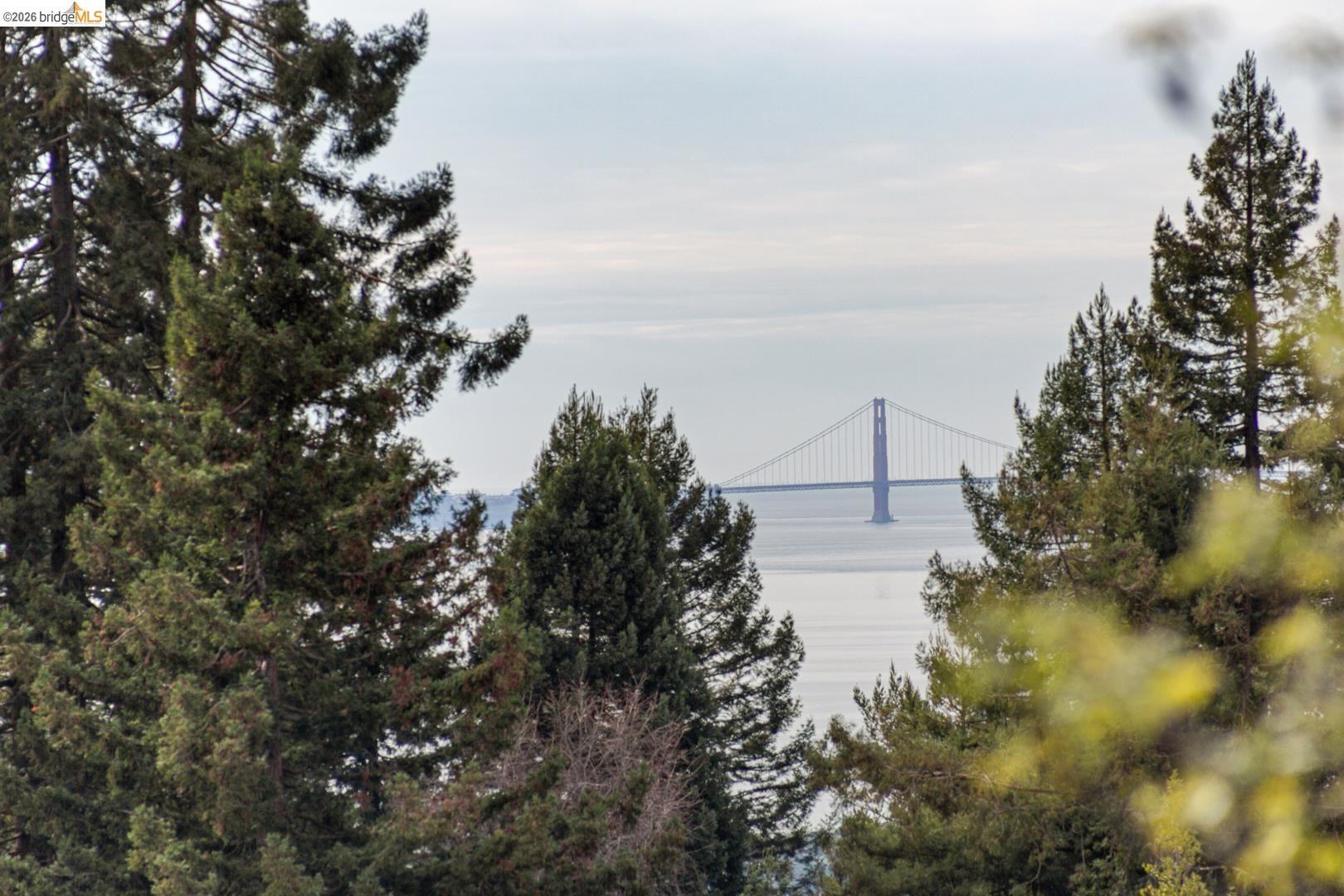 22 Windsor Avenue Kensington, CA 94708 - Photo 14 of 30 a view of lake with green space