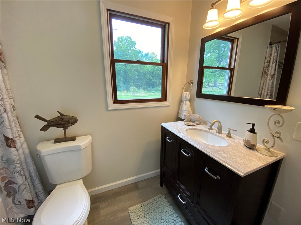 5901 Mt Everett Road Hubbard, OH 44425 - Photo 9 of 20 master bath