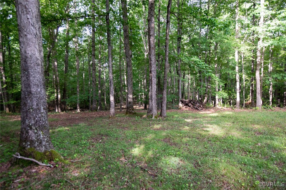 805 Douglas Church Road Keysville, VA 23947 - Photo 44 of 49 Gallery Image 44