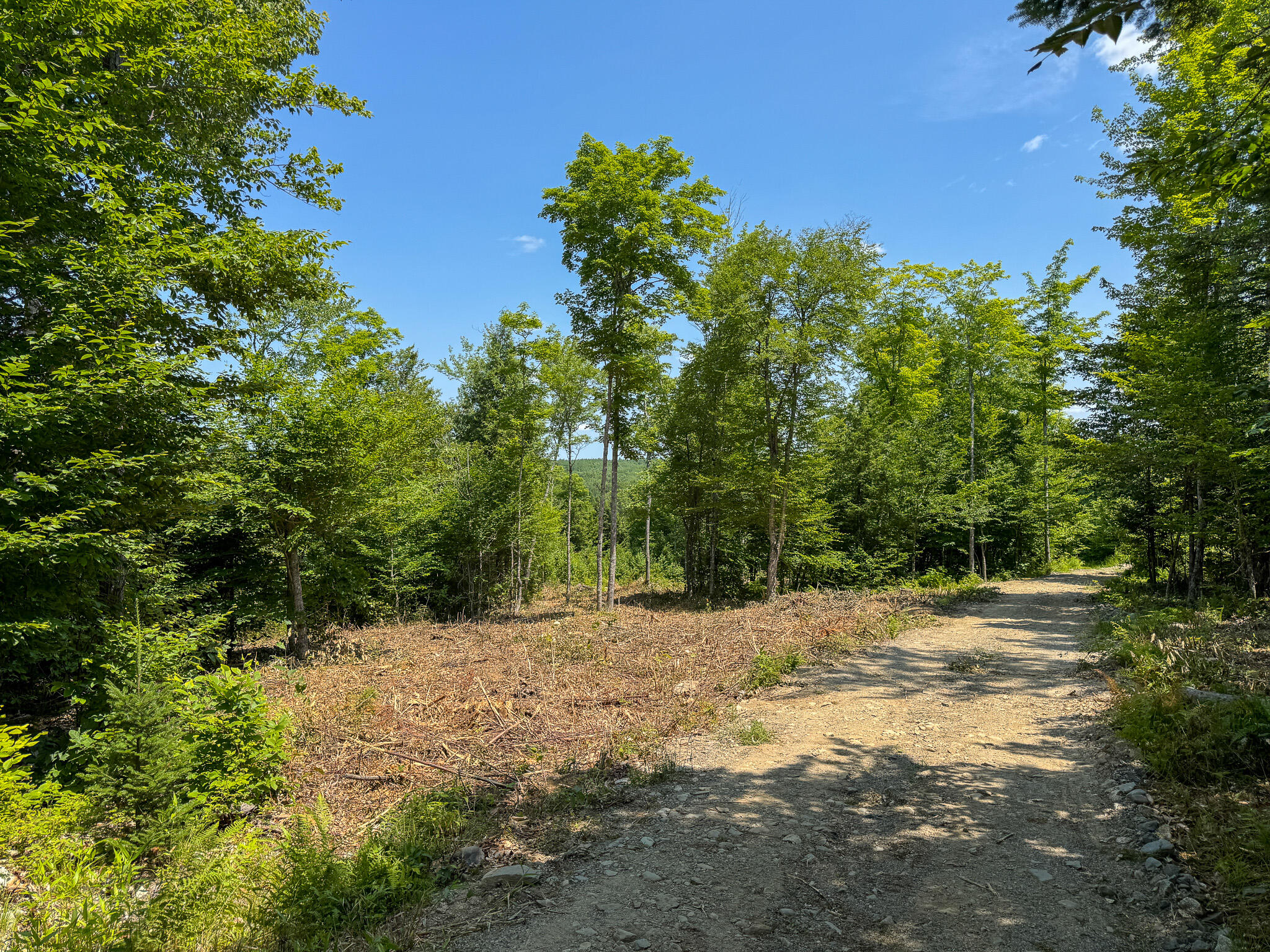 50 Wilderness Park Road Winn, ME 04495 - Photo 13 of 30 IMG_6799