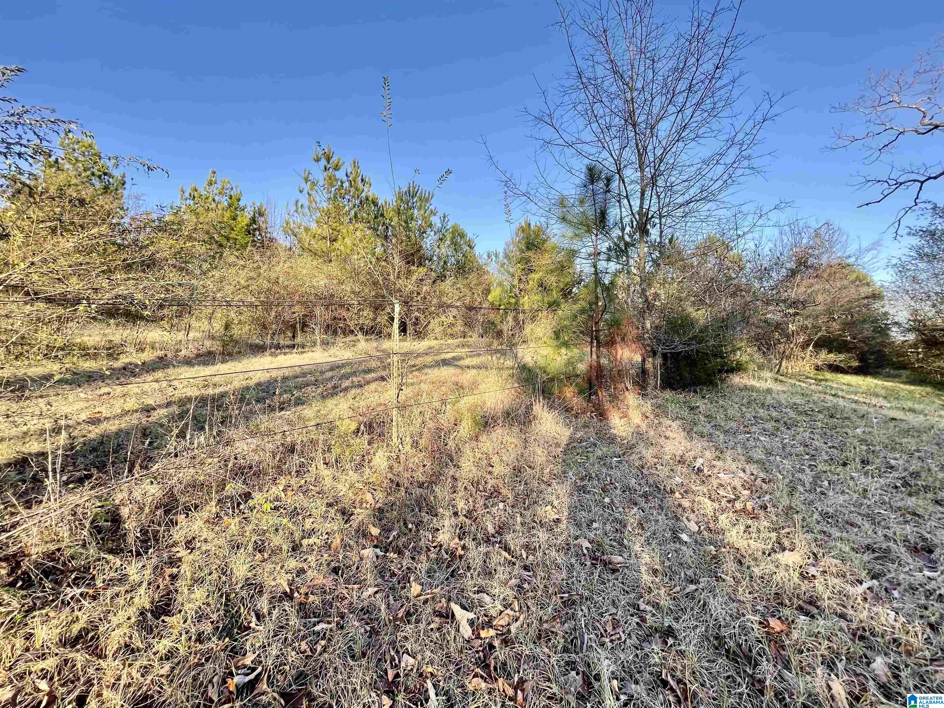 263 Westover Road Anniston, AL 36201 - Photo 20 of 61