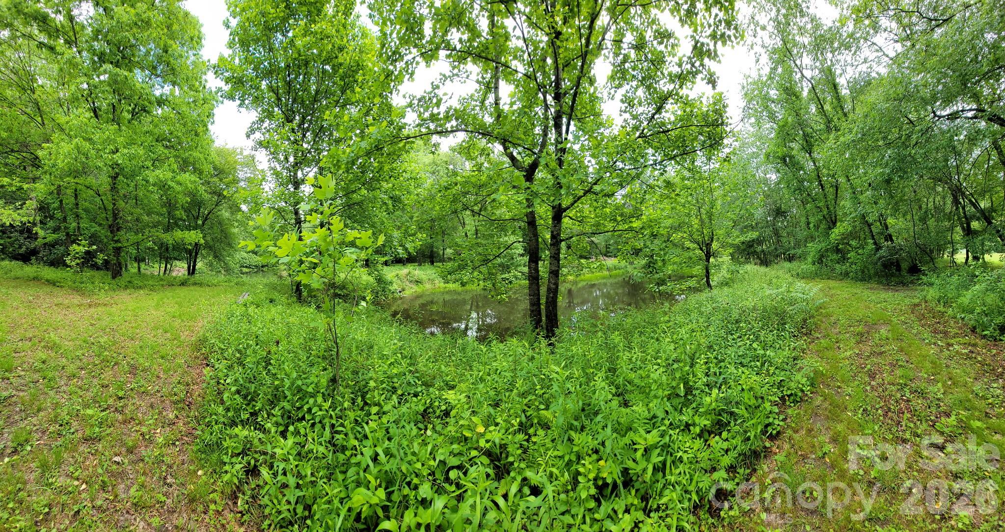 Tbd Sweetwater Rdg Road, Unit 1 Balsam Grove, NC 28708 - Photo 13 of 24 a view of a lush green forest