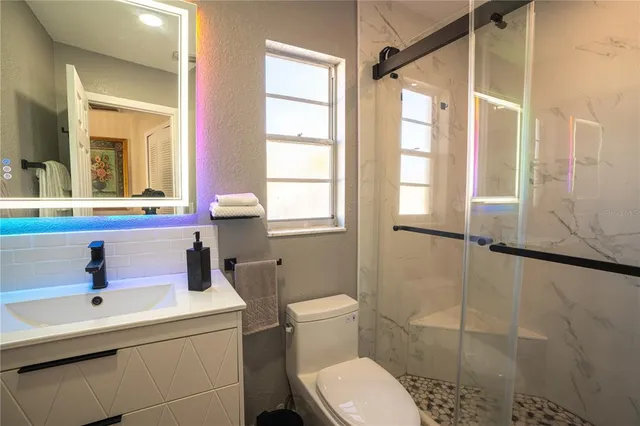 a bathroom with a shower and a toilet
