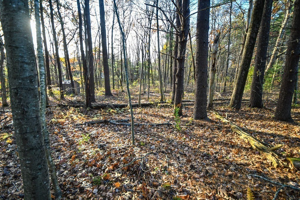 1 Brush Hill Road Merrimac, MA 01860 - Photo 32 of 35 Gallery Image 32