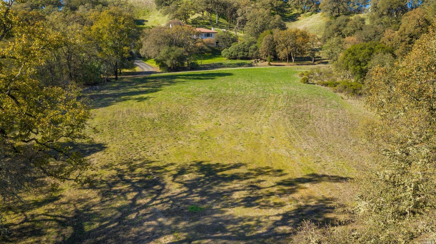 a view of yard with swimming pool and green space