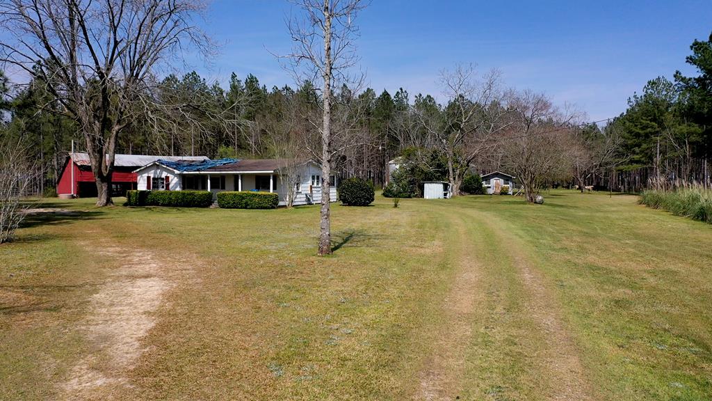 369 Bud Gary Road Clayton, AL 36016 - Photo 4 of 42