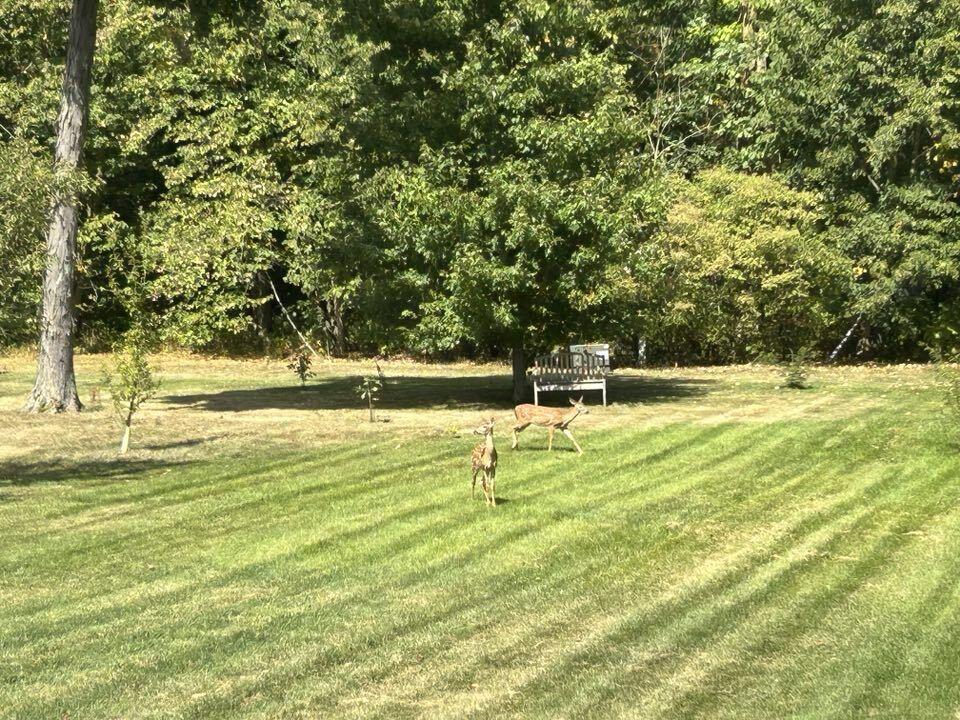 7721 Howick Road Celina, OH 45822 - Photo 77 of 81 Gallery Image 77