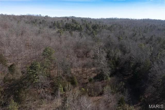 $239,400 | 0 Madison 441, Fredericktown, MO 63645