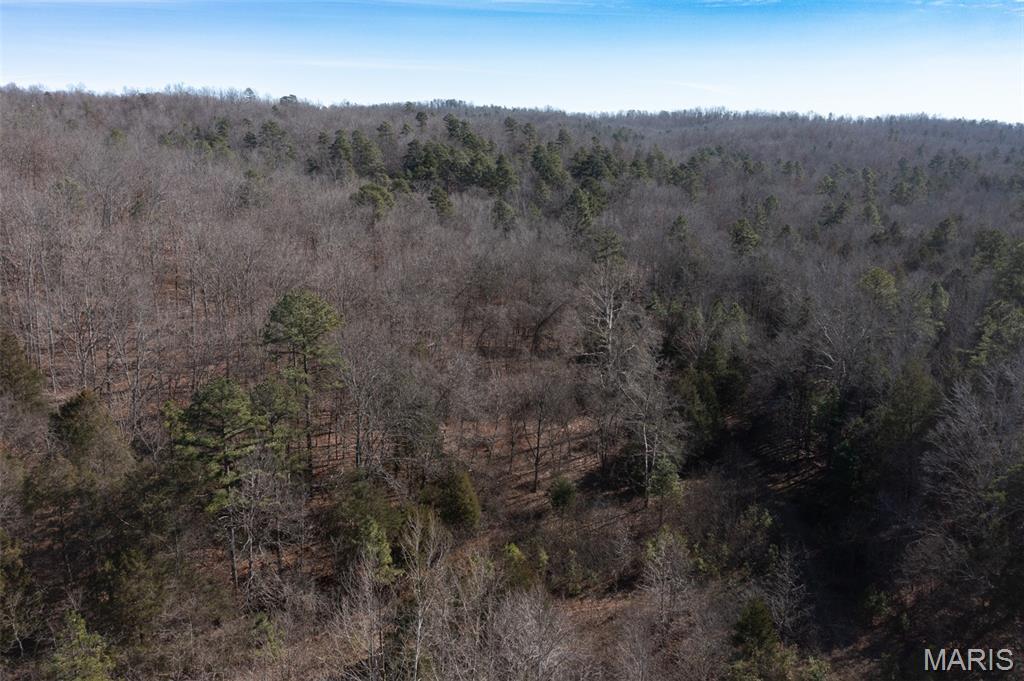 0 Madison 441 Fredericktown, MO 63645 - Photo 16 of 27