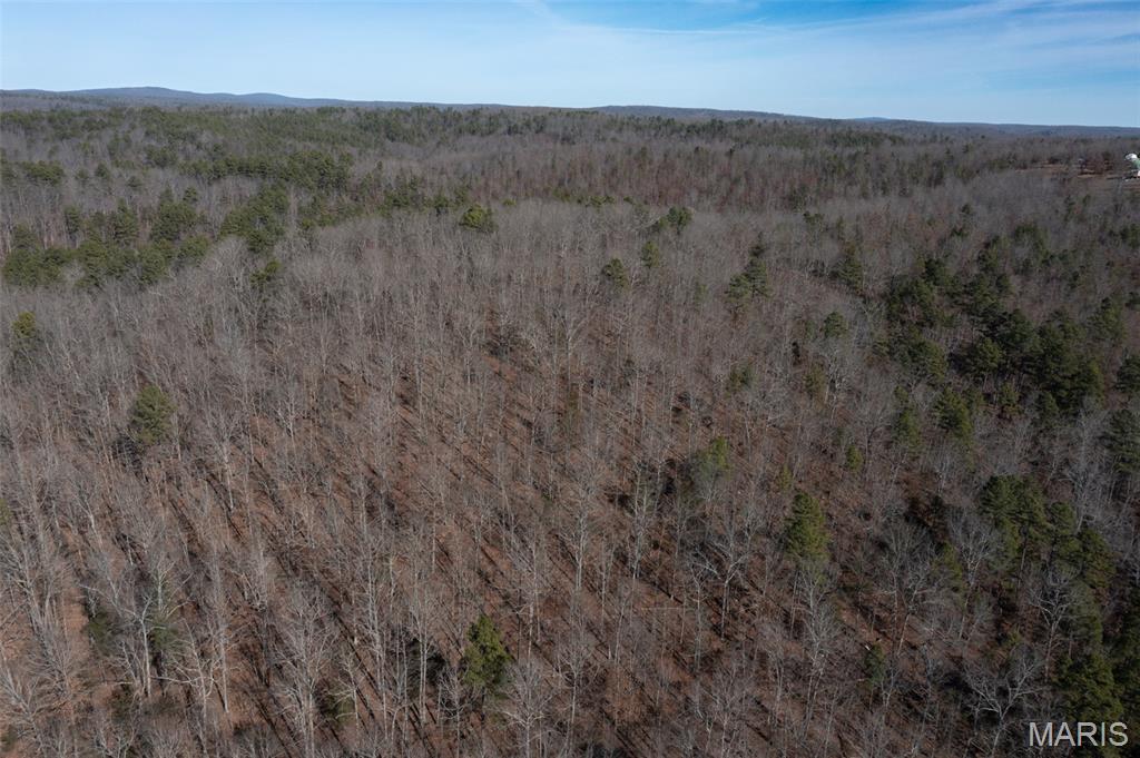 0 Madison 441 Fredericktown, MO 63645 - Photo 22 of 27