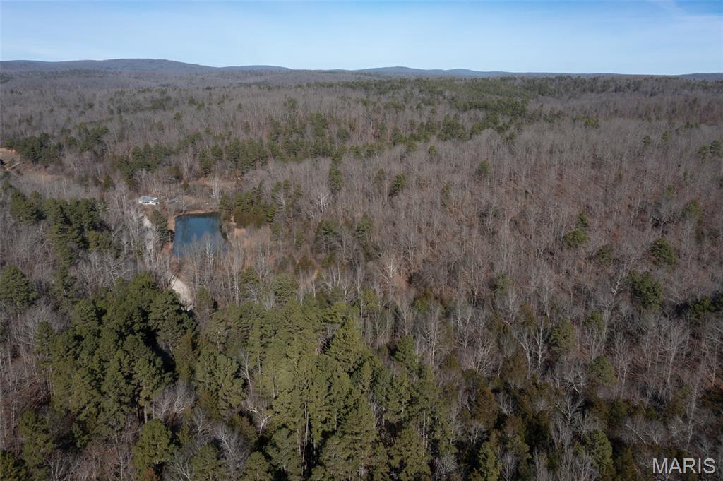 0 Madison 441 Fredericktown, MO 63645 - Photo 24 of 27