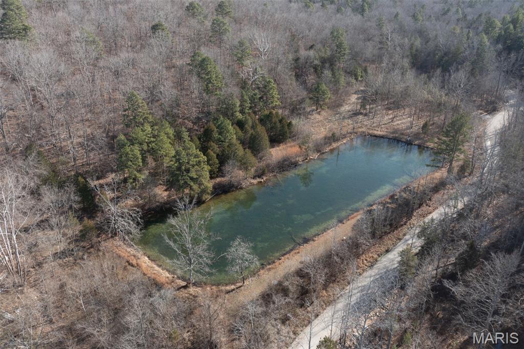 0 Madison 441 Fredericktown, MO 63645 - Photo 9 of 27