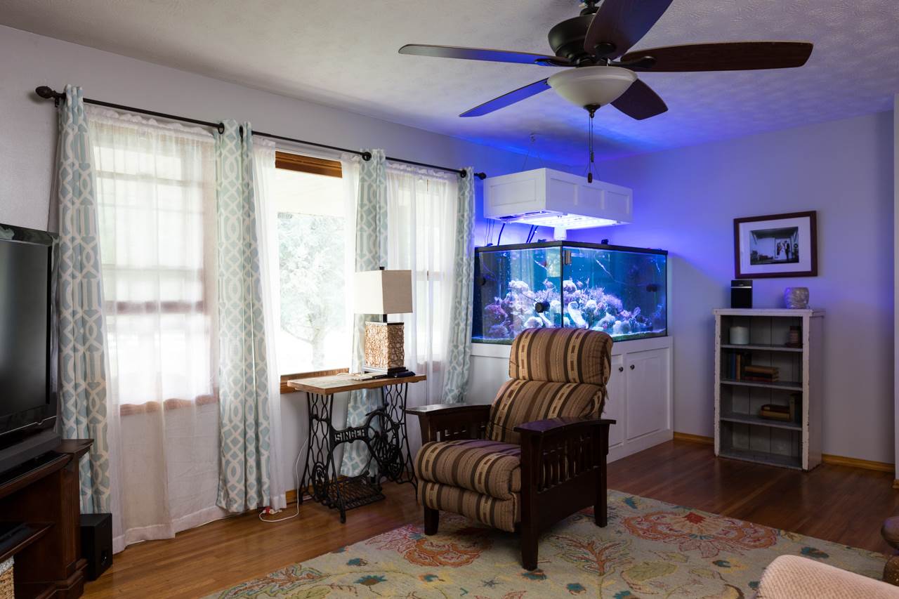 2439 Fairview Road Mount Crawford, VA 22841 - Photo 7 of 27 The large window in the living room allows for natural light to brighten and open the space.