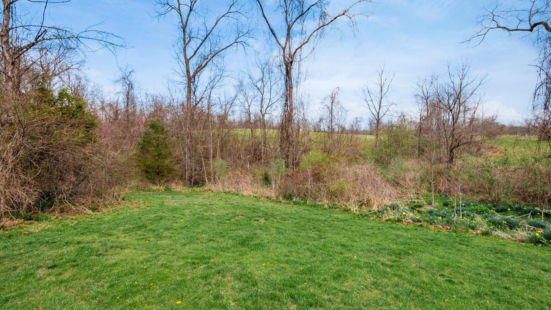 10021 West Triadelphia Road Crooksville, OH 43731 - Photo 44 of 78 44-z 10021 W Triadelphia094