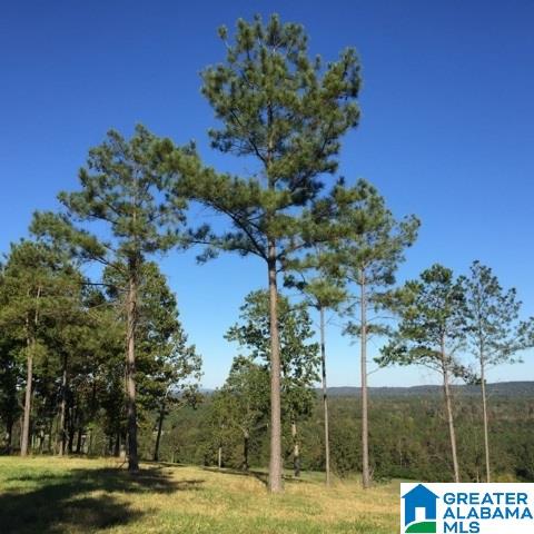 1785 Nunnally Lake Road Ohatchee, AL 36271 - Photo 28 of 50