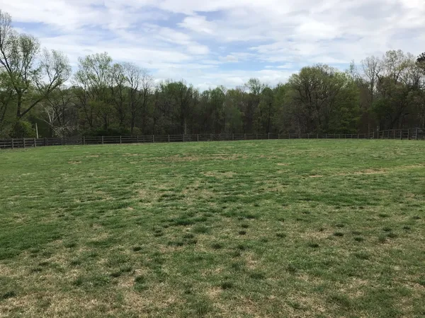 a view of a field with an trees